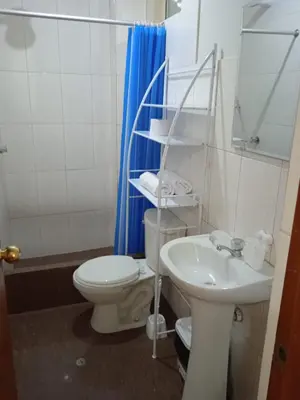 a bathroom with a toilet and a sink at 201 Departamento exclusivo en Chorrillos in Lima