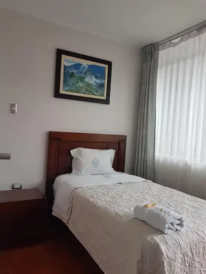 a bedroom with a bed and a picture on the wall at Hotel Luz de Luna in Atico