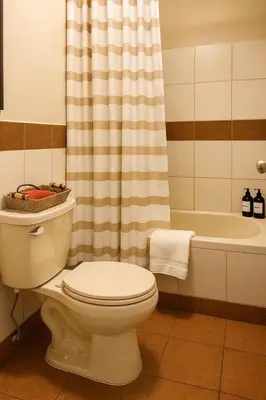 a bathroom with a toilet and a shower curtain at Habitación Privada en departamento Compartido in Lima