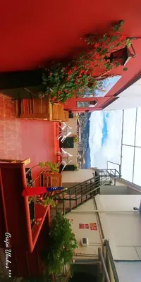 a view of a building with plants on the ceiling at Ukukus Hostel in Cusco