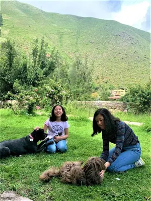 three girls sitting in the grass with a dog at Illa Wasi Sacred Valley in Urubamba