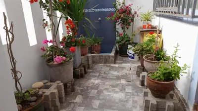a hallway filled with potted plants and flowers at IntiPunku in Cerro Azul