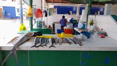 a group of fish on a counter in a kitchen at IntiPunku in Cerro Azul
