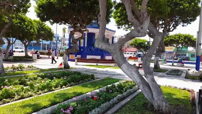 a park with trees and flowers in front of a building at IntiPunku in Cerro Azul