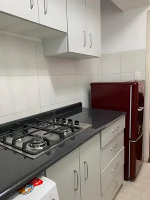 a kitchen with a stove and a refrigerator at Miraflores Center - Larcomar, Parque Kennedy, Malecón in Lima