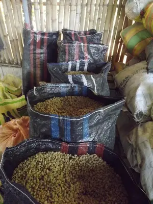 a bunch of bags of lentils and bags of beans at La Casita de Oxapampa in Oxapampa
