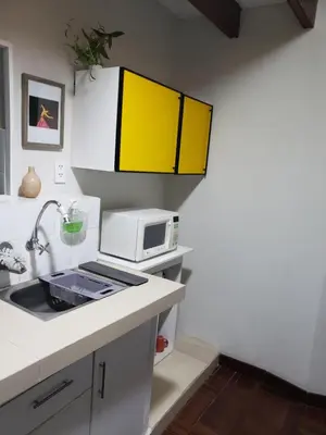 a kitchen with a sink and a microwave at Central, cozy & self-contained petfriendly apartments in the heart of Miraflores in Lima