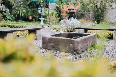 a garden with a bench and a bird bath at The Willow B&B in Urubamba