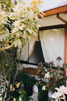 a room filled with lots of plants and flowers at The Willow B&B in Urubamba