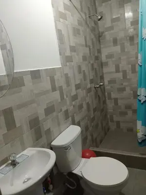 a bathroom with a toilet and a sink and a shower at La Petite Maison in Nazca