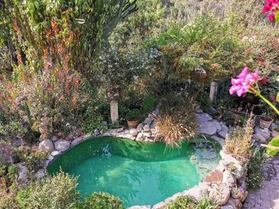a small pool in the middle of a garden at Villa Celestial in Nieve Nieve