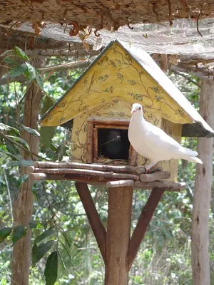 a bird sitting on top of a bird house at Villa Celestial in Nieve Nieve