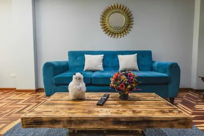 a dog sitting on a coffee table in front of a blue couch at San Pedro Apartments in Cusco