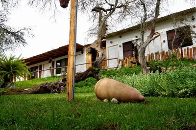 a cow laying in the grass in front of a house at Rochabus in Ica