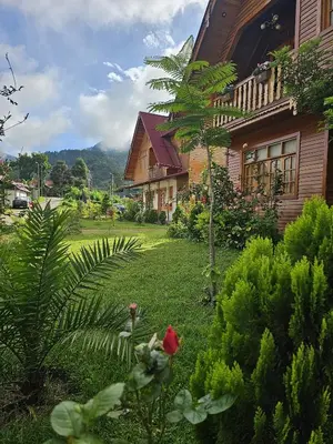 a yard with a house and a red flower in the grass at La Cabaña de Mari in Oxapampa