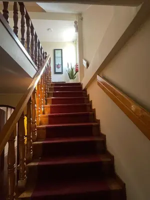 a stairway with red carpeted stairs with a potted plant at HOSPEDAJE LAS FLORES ICA in Ica