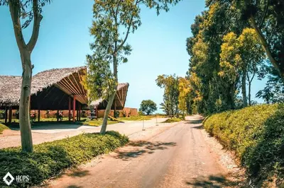 a dirt road in front of a building and trees at HOP LAGO & MAR exclusiva en playa de chincha in Chincha Baja