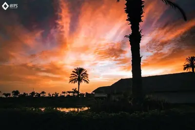 a sunset with a palm tree and a building at HOP OHANA exclusiva en campo y playa en Chincha in Chincha Baja