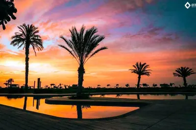 a sunset with palm trees and a pool of water at HOP OHANA exclusiva en campo y playa en Chincha in Chincha Baja