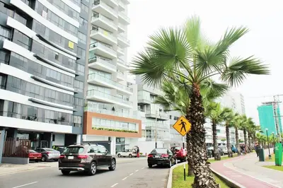 a palm tree on the side of a city street at Espacio Luxury Apartments Malecón 2 in Lima