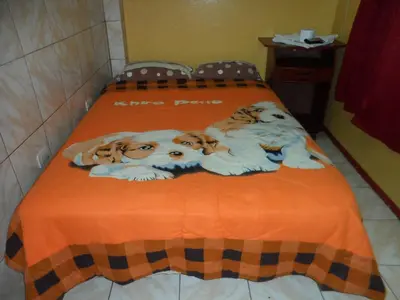 two dogs laying on top of a bed at Hostal Jovita in Lima