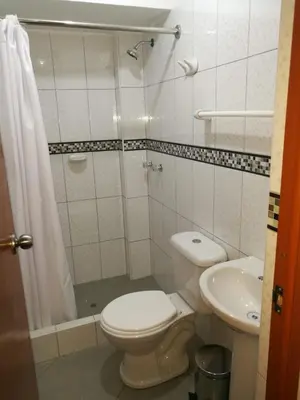 a bathroom with a toilet and a shower and a sink at El Sol de Nazca in Nazca