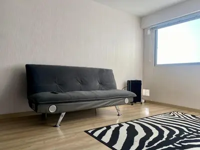 a black couch in a room with a zebra rug at Céntrico mini departamento, moderno y acogedor in Lima
