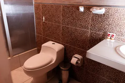 a bathroom with a toilet and a sink at Macacona Hacienda Hotel in Ica
