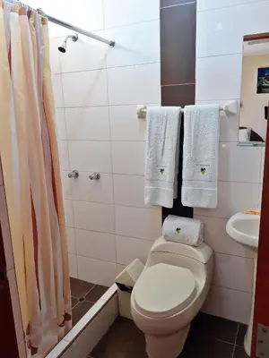 a bathroom with a toilet and a sink and towels at Hotel Torontel in Ica