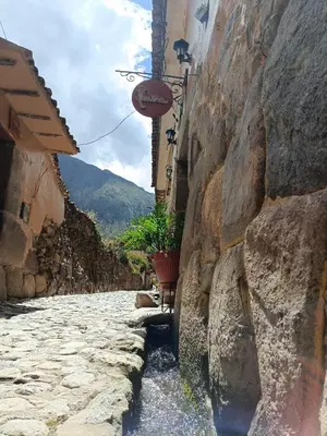a stone alley with a plant on the side of a building at Luisa in Ollantaytambo