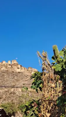 a view of a mountain with a cactus at Luisa in Ollantaytambo