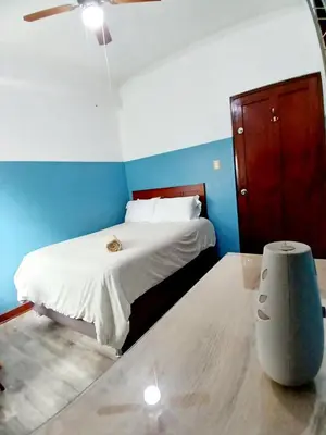 a bedroom with a bed and a ceiling fan at Miraflores Kennedy Park in Lima
