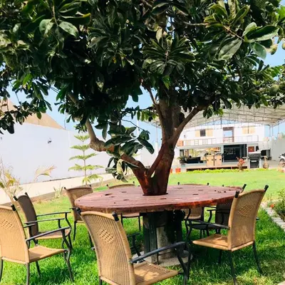 a wooden table with chairs around a tree at Hotel Viñas del Sol Eterno in Chincha Alta