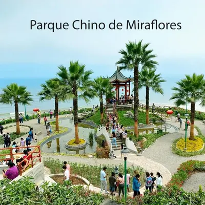 a group of people in a park with palm trees at IV Hermosa Habitacion Privada en Miraflores City in Lima