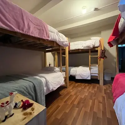 The Sleepy Mouse