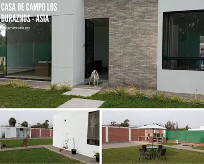 a collage of photos of a building with a cat sitting outside at Country House In Asia in Asia