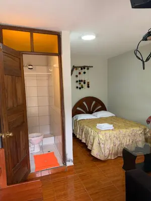 a bedroom with a bed and a shower and a toilet at Hospedaje Quillabamba in Santa Teresa