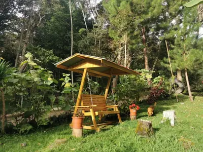 a swing in a yard with a dog in the grass at Oxablues Home Lodge in Oxapampa