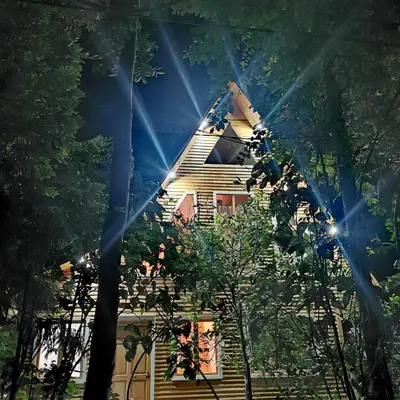 a house is seen through the trees at night at Oxablues Home Lodge in Oxapampa