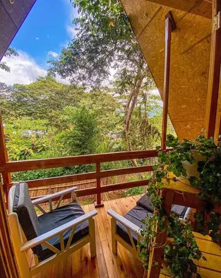a porch with two chairs and a view of the forest at Oxablues Home Lodge in Oxapampa