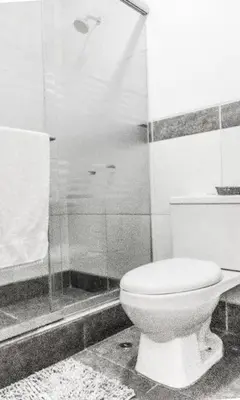 a bathroom with a toilet and a shower at Confortable and functional apartment in MIRAFLORES ! in Lima