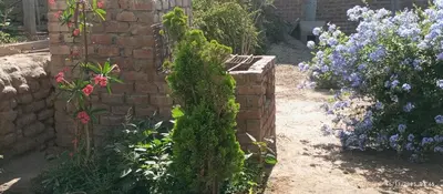 a brick wall with a bunch of flowers in a garden at Departamento 6p Tierra del Sol Eterno - Ica centro in Ica