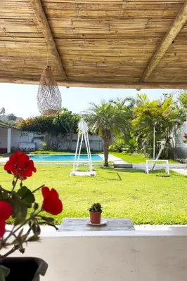 a view of a yard with a swing at LAS PALMERAS HOSTAL in Barranca