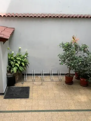 a group of potted plants sitting next to a wall at Departamento Cool & Comodo, San Isidro in Lima