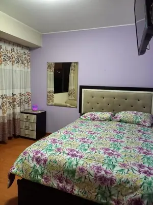 a bedroom with a large bed and a mirror at Frente a hermoso Parque Pueblo Libre in Lima