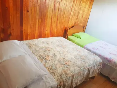 two beds in a room with wooden walls at Hospedaje Olguita in Oxapampa