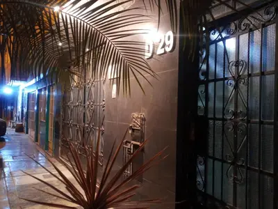 a plant in front of a wall with a light at Mochileros in Lima