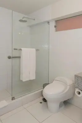 a bathroom with a toilet and a glass shower at ARTE HOTEL Lima in Lima