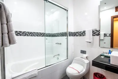 a bathroom with a shower and a toilet and a sink at El Polo Hotel & Suites in Lima
