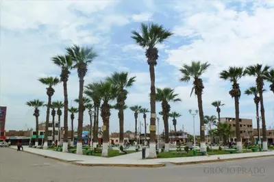 a row of palm trees on a street at CASITA PARA FIN DE SEMANA in Rancho Cesar